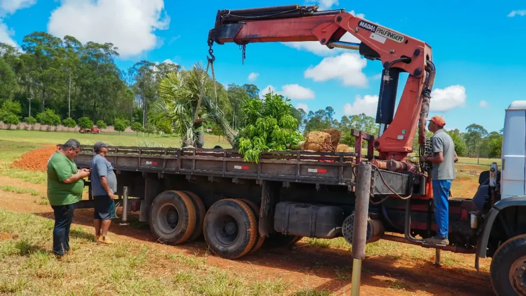 Fazenda com reflorestamento